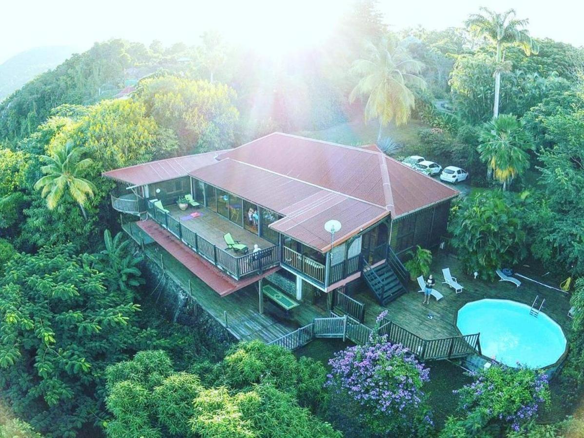 Villa Du Jardin Botanique, Ex. Propriete Coluche Deshaies Dış mekan fotoğraf