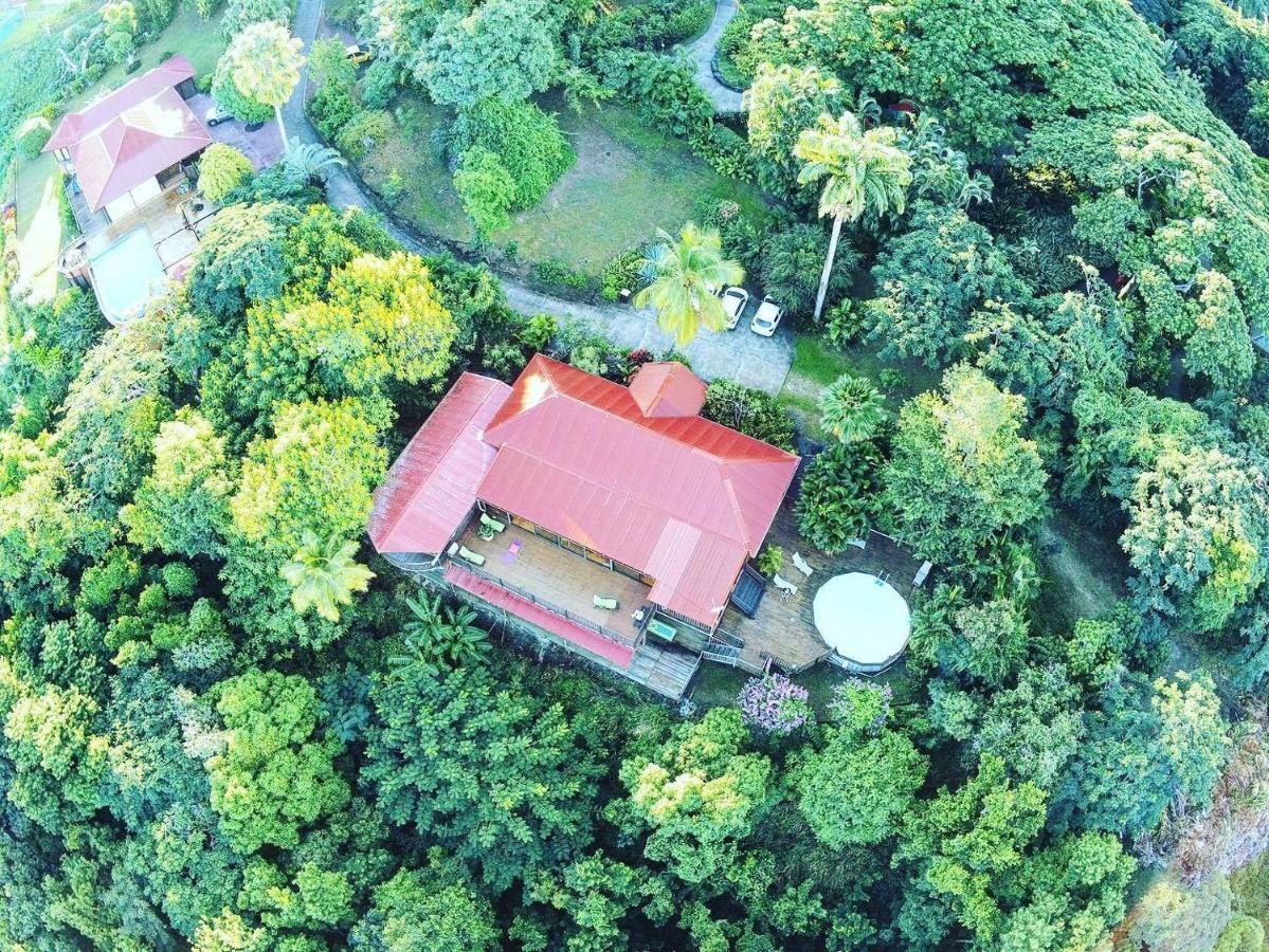 Villa Du Jardin Botanique, Ex. Propriete Coluche Deshaies Dış mekan fotoğraf